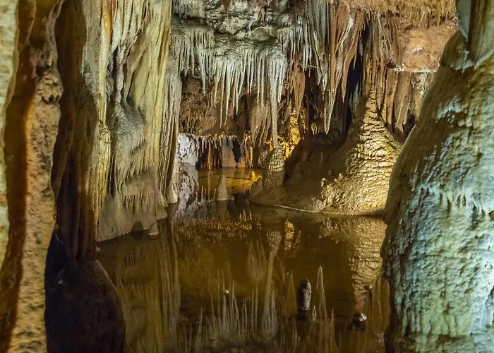 In - Istrien 10306 * Poreč